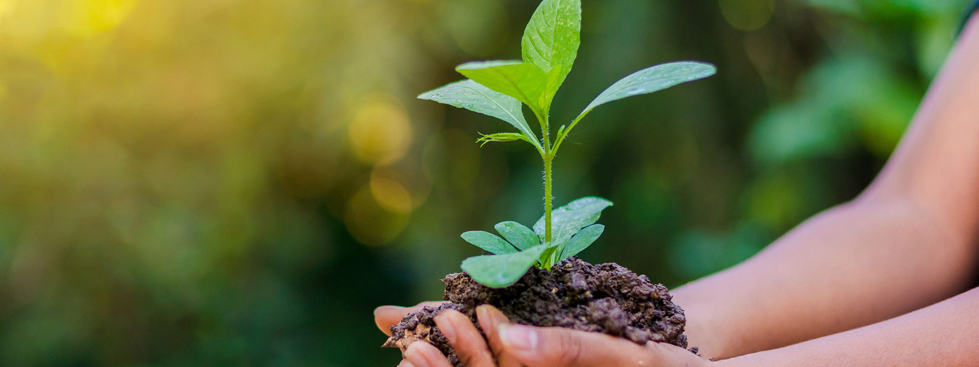 Corporate Responsibility and Give Backs